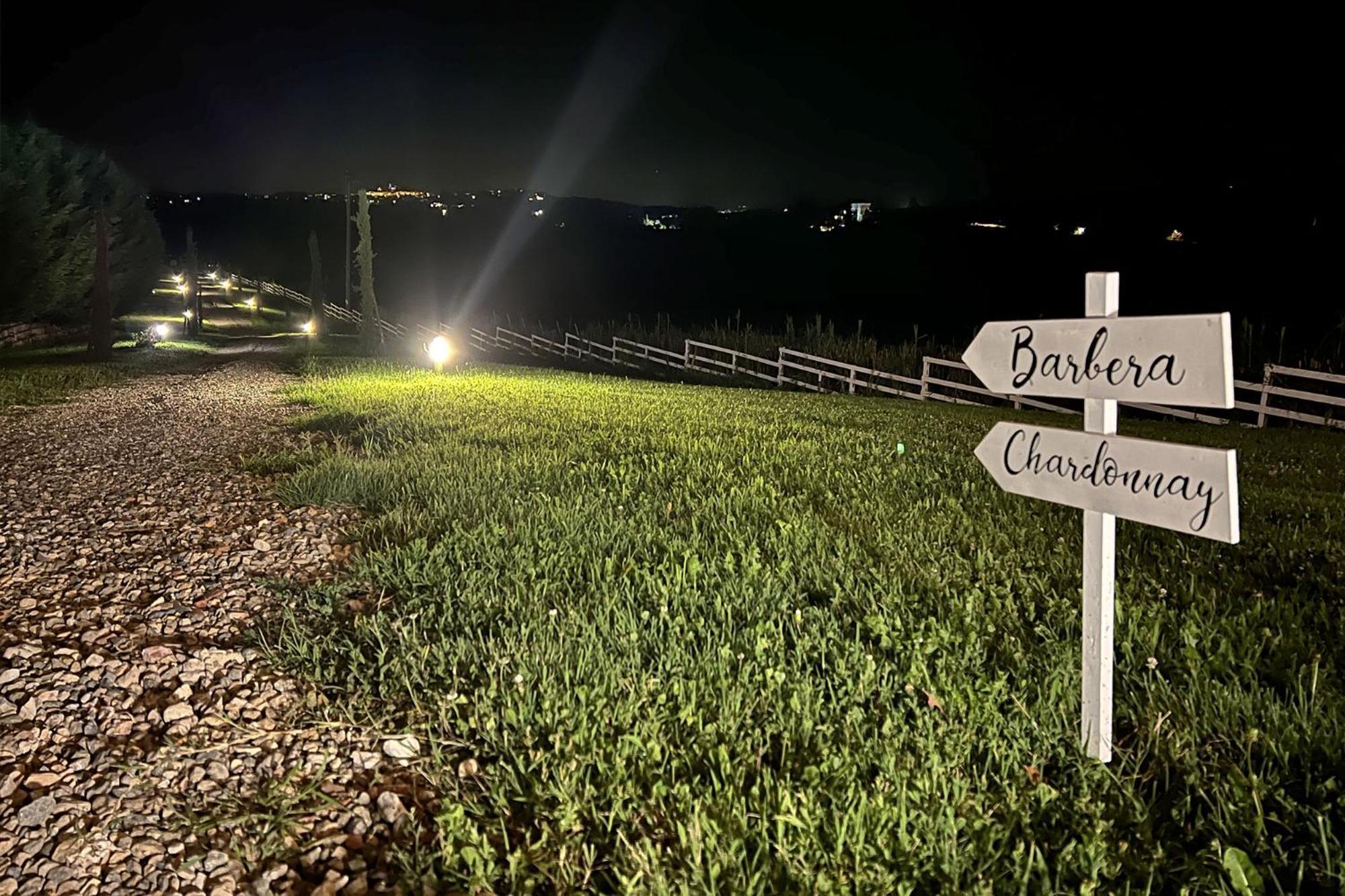 Отель Notte Nella Botte Vignale Monferrato Экстерьер фото