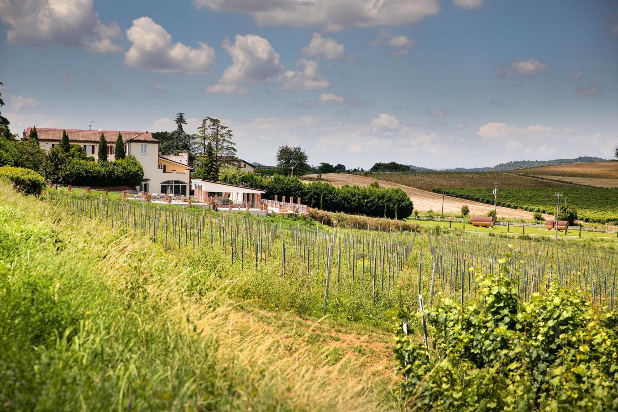 Отель Notte Nella Botte Vignale Monferrato Экстерьер фото